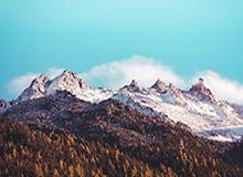 旺财28网页-翔细聊｜麦基能给北汽男篮带来些什么？